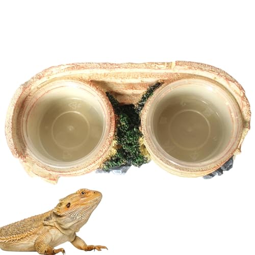 Générique Reptile Feeding Double Bowl, tragbar, Resin Water & Food Dish für Geckos, Lizards, Chameleons, Baumfrogs & kleine Reptilientiere, natürliches Zubehör von Générique