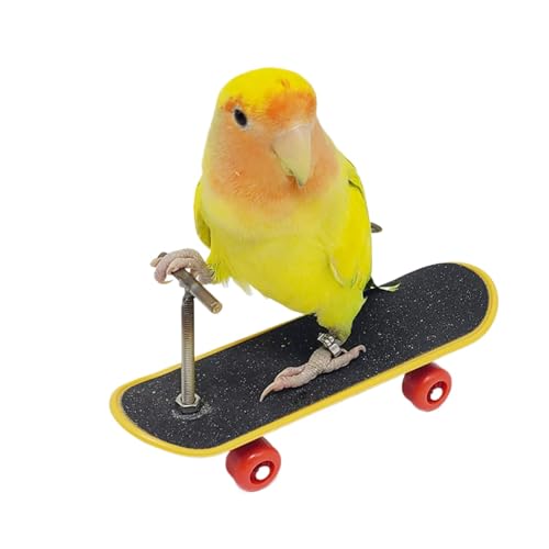 Générique Skateboard Bird Toys, Educational Stand Perch Training Skateboard, Intelligence-Boosting Pet Supplies, Fun Skill Enhancement for Birds, Interactive Toy for Parrot, 5,12 x 1,57 x 1,97 Zoll von Générique