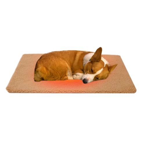 Générique Warming Pad für Kitten, weiche Haustierdecke, rutschfestes Haustierbett, Kitten und Puppies Heating Pad, Puppy Warming Bed, Winter Heating Pad, Kitten Heating Mat, von Générique