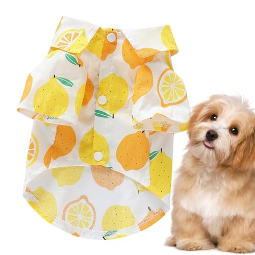 Hundehemd mit Früchten, Sommerkleidung für Haustiere, atmungsaktive Kleidung für Welpen, Hundekleidung mit Fruchtdruck, Kleidung für Welpen, T-Shirt für Haustiere von Générique