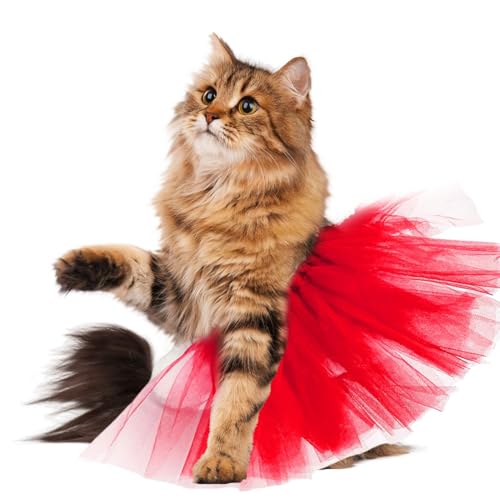 Hunderock, Tutus für kleine Hunde, Prinzessinnen-Kostüm für Hunde, Ballerina, Kleidung aus Spitze, Tutu aus Tüll, Katzenkleid für kleine und mittelgroße Hunde, Katzen von Générique