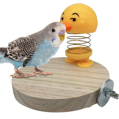 Interaktives Vogelspielzeug, Vogel-Ständer und Spielzeug, Spring Chew Toy für Vögel, Papagenkäfig, Dekoration, Spielzeug für Budgie Käfig, Vogelkäfig, Vogelkäfig, Vogelkäfig, Spielzeug für Cockatiel von Générique