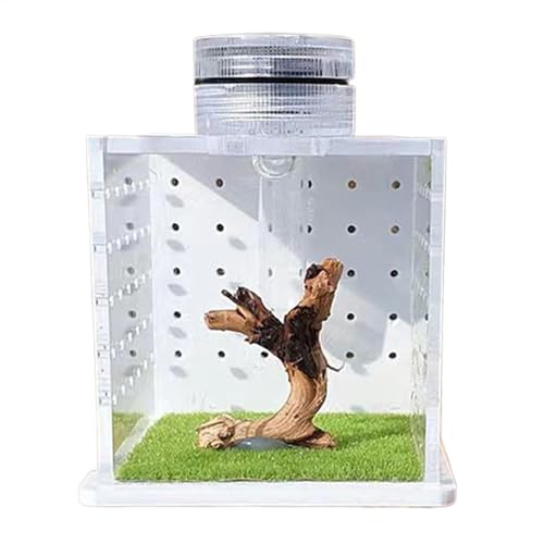 Jumping Spider Enclosure, transparenter Turtle Tank, 8 x 6,5 x 6,5 cm / 3,15 x 2,56 x 2,56 Zoll Breeding Box Praying Mantis Habitat, Reptil-Port für Amphibian und Invertebraten, Abs von Générique