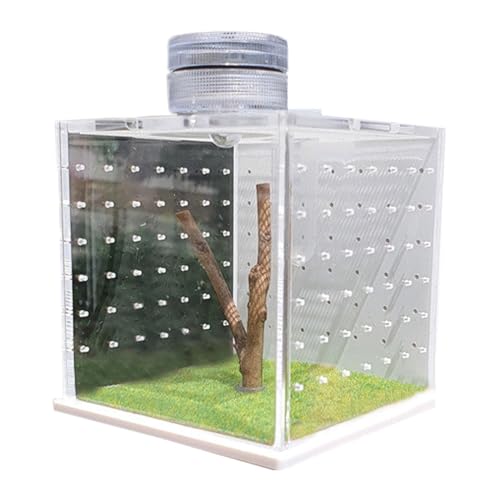 Jumping Spider Terrarium, 8 x 6,5 x 6,5 cm, transparent, Turtle Tank, kleine Praying Mantis Habitat, Breeding Box mit Licht & Luftbefeuchter für kleine Baumgewächse, transparent von Générique