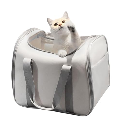 🔋Katzen-Tragetasche, Katzen-Reise-Transportbox | Hunde-Reisetasche mit herausnehmbarem Futter, Hunde-Reisetasche, ganzjähriger Katzenträger für Katzen, kleine Hunde, Kaninchen, Ham von Générique