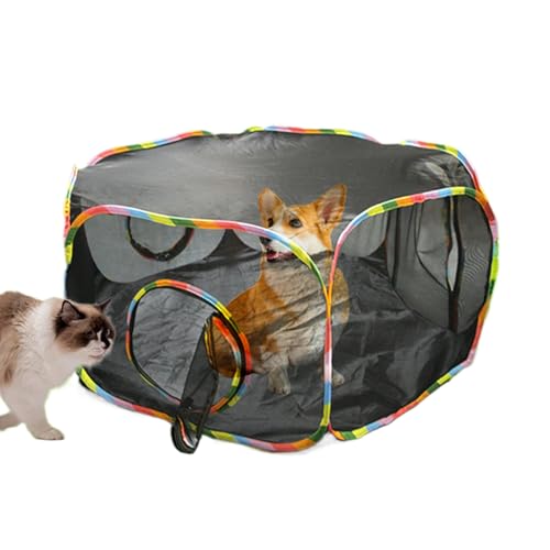 Katzenzelt für den Außenbereich, Netzkäfig, geräumig, Tiere, Sicherheitsnetz, Kennel, atmungsaktiv, Design, Outdoor, atmungsaktiv, 12,6 x 13,39 x 3,15 cm Katzenzelt für den Außenbereich, Netzkäfig, geräumig, Tiere, Sicherheitsnetz, Kennel, atmungsaktiv, Design, Outdoor, atmungsaktiv, 12,6 x 13,39 x 3,15 cm von Générique
