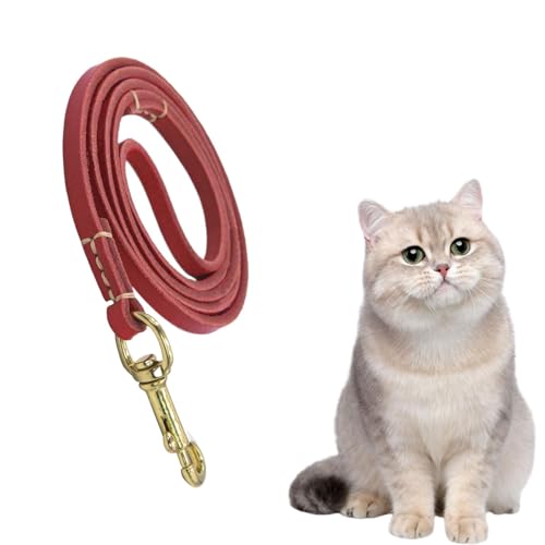 Keine Zugschnur, Hundetrainingshilfe, Hunde-Sicherheitsgurt, ergonomisches Design für Walking und Training, ideal für mittelgroße Tiere, Relieving Hand Spannung 61,02 x 0,24 x 0,04 Zoll von Générique