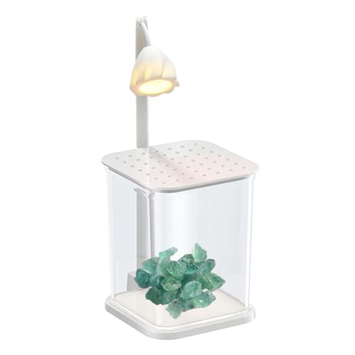 Kleines Aquarium mit LED-Licht | Kampffisch-Aquarium | Tank | Aquarium für Quallen 10 x 15 x 24,5 cm / 3,94 x 5,91 x 9,65 Zoll für Garnelen, kleine Krabben, Quallen, Muscheln von Générique