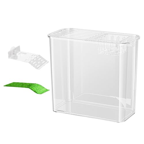 Kompakter Betta-Fischtank mit klarem Sichtdesign | Multifunktionales Aquarium mit dekorativer Fischschale und Starter-Funktionen | perfekt für Betta-Fische, Turtles, kleine Wassertiere von Générique