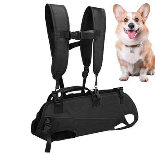 Komplettes Sport-Geschirr mit Hund – Geschirr für behinderte Hunde | horizontal, tragbar, verstellbar, mit Schlinge | Halsbänder und Zubehör für Haustiere Komplettes Sport-Geschirr mit Hund – Geschirr für behinderte Hunde | horizontal, tragbar, verstellbar, mit Schlinge | Halsbänder und Zubehör für Haustiere von Générique