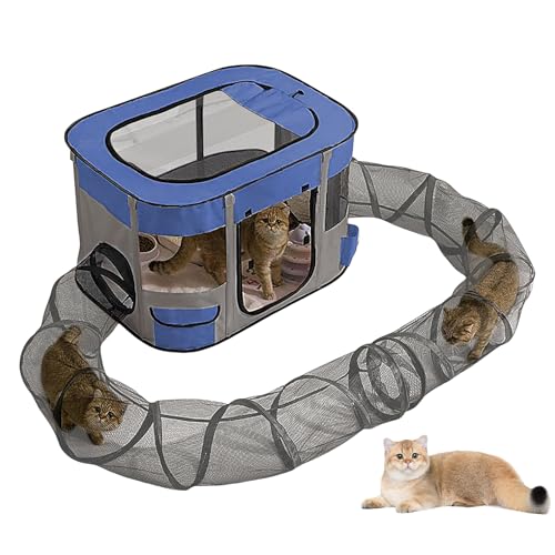 Lautsprecher für draußen mit Tunnel für Katzen – tragbarer Unterschlupf für kleine Tiere im Freien | Freigehege schnelle Installation Unterhaltung Balkon Garten Terrasse Lautsprecher für draußen mit Tunnel für Katzen – tragbarer Unterschlupf für kleine Tiere im Freien | Freigehege schnelle Installation Unterhaltung Balkon Garten Terrasse von Générique