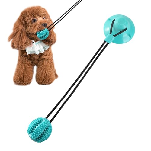 Leckerli-Ball, Hundespielzeug, Futterspender für Hunde, Leckerli-Ball, interaktives Beißspielzeug für Hunde, Zahnform, für große, kleine und große Hunde von Générique