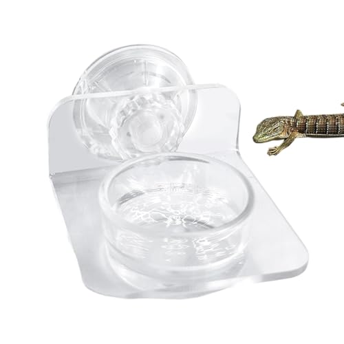 Magnetische Reptile Feeding Ledge, Suction Cup Food Holder, Easy-Install, Space Saving Design, Sturdy Material, stabile Halterung, ideal für Geckos, Lizards, Frog von Générique