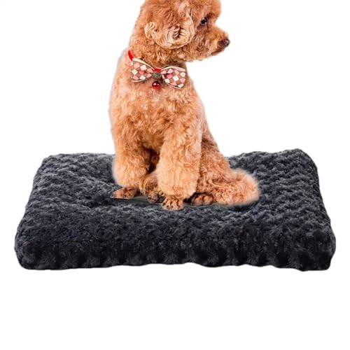 Mittleres Hundebett – wasserdichtes Hundekissen, gepolsterte , Korb | Liegefläche rutschfest, waschbar, abnehmbarer Bezug, kuscheliger Teppich, gemütliches Nest, weicher Korb für Innenausruhe Mittleres Hundebett – wasserdichtes Hundekissen, gepolsterte , Korb | Liegefläche rutschfest, waschbar, abnehmbarer Bezug, kuscheliger Teppich, gemütliches Nest, weicher Korb für Innenausruhe von Générique