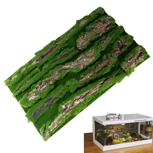 Natural Bark Backdrop | Reptile Cork Terrarium Background | Lizard Habitat Bark Backdrop | Artificial Moss | Reptile Habitat Decor for Gecko, Lizard, Schildkröte, Frog and Chameleon von Générique