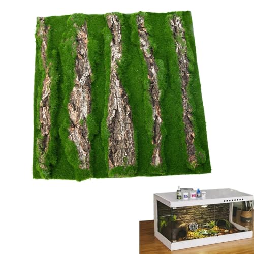 Natural Bark Backdrop | Reptile Cork Terrarium Background | Lizard Habitat Bark Backdrop | Artificial Moss | Reptile Habitat Decor for Gecko, Lizard, Schildkröte, Frog and Chameleon von Générique