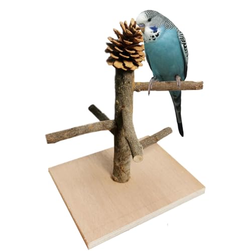 Parrot Playground, Natural Wood Perch, Tabletop Bird Play Stand, Training Plaything Stand, interaktives Käfig-Spielzeug für Cockatiel, Lovebirds, Parakeets und kleine Vögel von Générique