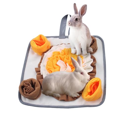 Pet Sniffing Matte, Interactive Slow Feeding, Foraging Feeding Mat, Puppy Eating Mat, Cat Sniff Mat, Dog Sniffing Mat, Slow Feeding Puzzle Matte, Bunny Foraging Mat, Hamster Activity Mat von Générique