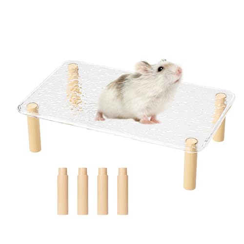 Plattformen für Hamster – Hamster-Ruheständer mit abnehmbarem und verstellbarem System | Zubehör für , Leiter, Wasserflasche und Futter für Haustiere Plattformen für Hamster – Hamster-Ruheständer mit abnehmbarem und verstellbarem System | Zubehör für , Leiter, Wasserflasche und Futter für Haustiere von Générique