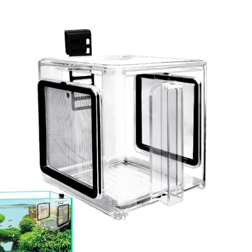 Reproduktionsbox für Aquarium – Abtrennung für Aquarienfisch, Zubehör zum Ausbrüten mit Trennwand für , Guppys und Zucht Reproduktionsbox für Aquarium – Abtrennung für Aquarienfisch, Zubehör zum Ausbrüten mit Trennwand für , Guppys und Zucht von Générique