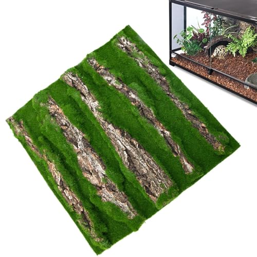 Reptile Kork Terrarium Hintergrund – , Dekoration für den Innenraum, Dekoration für Rinde, Habitat Adapting Bark Backdrop Wall Artificial Moss Artificial Dragon Barde von Générique