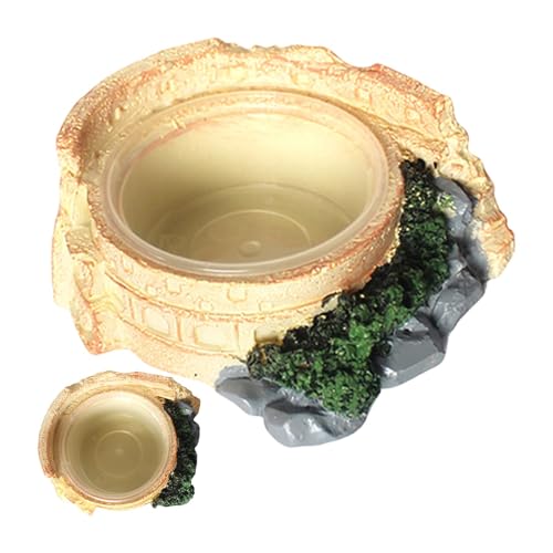 Resin Reptile Dish, einzigartige Lizard Water Bowl, 4,13 x 3,34 Zoll Terrarium Feeding Stand, authentischer Tierfeeder, transparentes Bowl Design für Turtle, kleine Reptilien von Générique