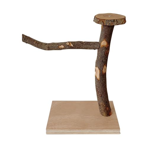 Sitzstange aus Holz, stehendes Spielzeug für Vögel, Papageienständer aus Holz | Kletterspielzeug für Papageien, Raues Oberflächen-Design, für Vogelvogel, Wellensittiche, Papageien von Générique