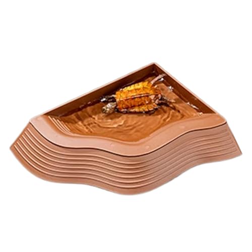 Snake Water Dish, Reptil Spender Spender, Schildkrötentrinkschale, Pastetenaquarium, 14,65 x 11,61 x 1,85 Zoll, ideal zur Aufbewahrung von frischem Grün, Obst und Bewässerungsquellen von Générique