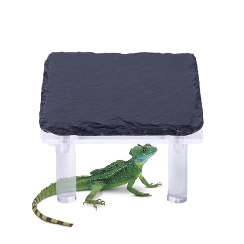 Solar-Badenfelsen für Schildkröten – Versteck für Reptilien mit Acrylständer – Terrarium-Dekoration für Gecko, Schildkröte, , Schlange und Solar-Badenfelsen für Schildkröten – Versteck für Reptilien mit Acrylständer – Terrarium-Dekoration für Gecko, Schildkröte, , Schlange und von Générique