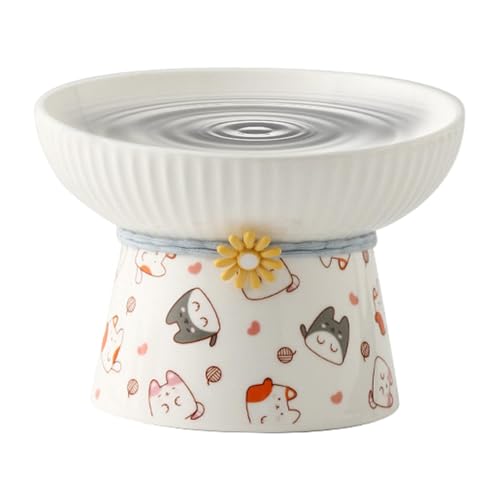 Tilted Elevated Cat Bowl | Erhöhte Katzenfutterschale | 330 ml Keramik-Feeding Dish für Katzen und kleine Hunde | perfekt für Kittens, flache, gebackene Brötchen und bequemes Eating von Générique