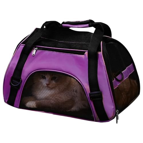 Transporttasche für kleine Hunde, tragbare Reisebox für Katzen | Atmungsaktiver Multifunktions-Transporter für Reisen, Wandern, Camping und Outdoor-Aktivitäten Transporttasche für kleine Hunde, tragbare Reisebox für Katzen | Atmungsaktiver Multifunktions-Transporter für Reisen, Wandern, Camping und Outdoor-Aktivitäten von Générique