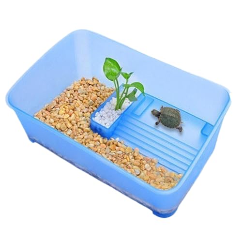 Turtle Aquarium-Set, Deepened Turtle Tank Starter Kit, Reptilien-Terrarium, 5 multifunktionale Zonen, ideal für Aquatic Turtles, Crabs und Crayfish, 30,9 x 12,4 x 11,9 cm von Générique