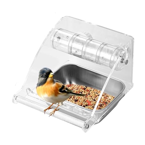 Vogelfutterbehälter, Vogelfutterbehälter, Vogelfutterstation, Vogelfeeder mit Stand, Vogelfeder, mittelgroßer Vogelfeeder, Parrot Food Feeder von Générique