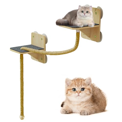 Wall Mounted Cat Furniture, Space Saving Shelves, Vertikaler Climbing Area, Scratching Perch Tower, Cat Natural Activity Tree for Window, Home, Play, Indoor, Outdoor, Bedroom, Apartment Wall Mounted Cat Furniture, Space Saving Shelves, Vertikaler Climbing Area, Scratching Perch Tower, Cat Natural Activity Tree for Window, Home, Play, Indoor, Outdoor, Bedroom, Apartment von Générique