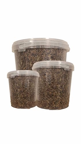 10 kg Getrocknete Mehlwürmer – Proteinreiches Naturfutter für Vögel, Fische, Reptilien, Nager und Kleintiere 10 kg Getrocknete Mehlwürmer – Proteinreiches Naturfutter für Vögel, Fische, Reptilien, Nager und Kleintiere von Generisch