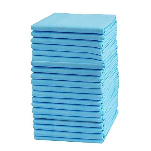 20PC Extra Large Dog Pee Pads 80 * 90cm Dog Puppy Training Wee Pee Pads Hundefutter Unterlage (Sky Blue, One Size) von Generisch