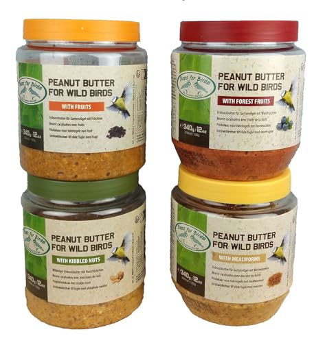 4X 340g Vogelfutter Erdnussbutter für Gartenvögel 4 Verschiedene Sorten Mehlwürmer Nussstücke Frucht Wildvogelfutter Vögel PET-Glas Fettfutter von Generisch