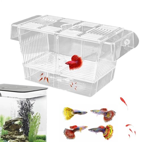 Acryl-Fischzuchtbox – Kristall-Aquarium-Züchterbox, Babyfisch, Garnelen, Guppy, Clownfisch, Brutkasten, Baby-Fisch-Isolationsbox, Aquarium-Trennwand, Betta-Fische, Kindergarten, Akklimatisierung, von Generisch