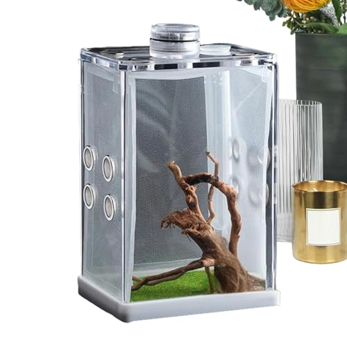 Acryl Reptilien Terrarium Box, Transparenter Insektenbeobachtungskasten, Gehäuse Mit LED-Licht, Belüfteter Brutkasten, Für Vogelspinnen, Stabheuschrecken, Spinnen, Grillen von Generisch