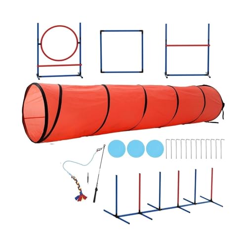 Agility-Ausrüstung für Hunde, inklusive Flirtstangenspielzeug, 3 fliegende Scheiben, 1 Agility-Tunnel, 2 Sprünge, 6 Webstangen, Pausebox von Generisch