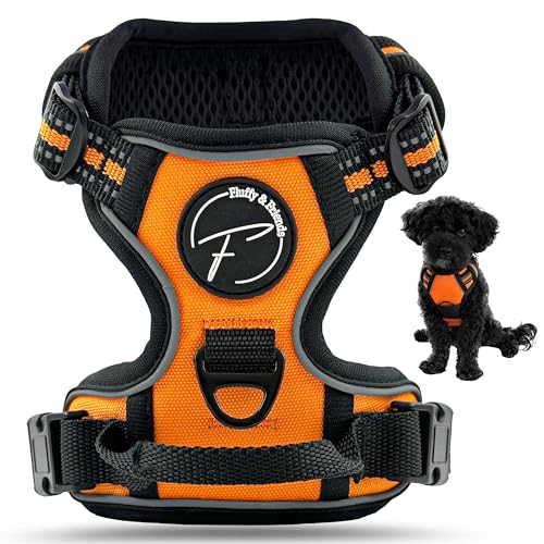 Hundegeschirr für große Hunde reflektierend aus Nylon - Anti Zug Geschirr ideal für Trainingseinheiten mit Welpen - atmungsaktive mesh Polsterung (Orange, Gr. L) von Fluffy & Friends