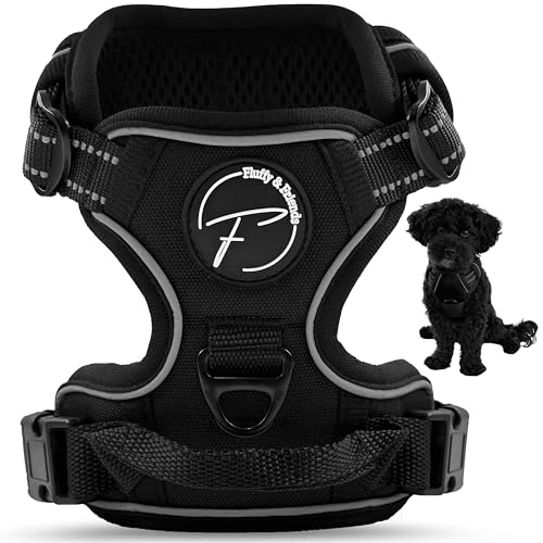 Hundegeschirr für kleine und mittelgroße Hunde reflektierend aus Nylon - Anti Zug Geschirr ideal für Trainingseinheiten mit Welpen - atmungsaktive mesh Polsterung (Schwarz, Gr. M) von Fluffy & Friends