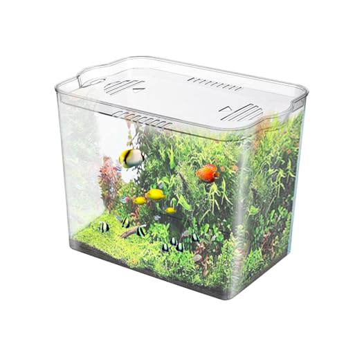 Aquarium, stapelbares würfelförmiges Aquarium, kleines Fischglas für temporären Raum, Schildkrötenbecken, Desktop-Aquarium für Wasserwee, kleine Fische, Garnelen, Krabben von Generisch