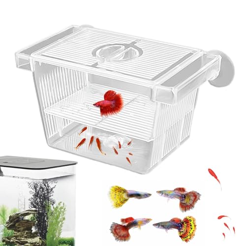 Aquarium – Aquarium-Trennwand-Akklimatisierungsbox für Aggressive Fische, Aquarium-Brutstation, Brutkasten für Brutgarnelen, Betta und Guppy, 4,92 x 2,76 x 2,76 Zoll von Generisch