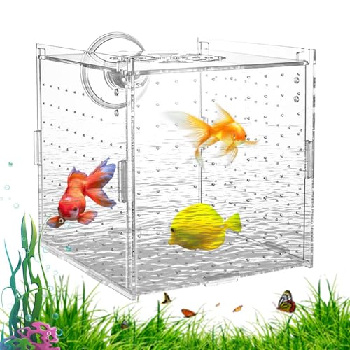 Aquarium Aufzuchtbox,Aufzuchtbox Mit Saugnäpfen | Kristallklar Acryl Trennwand Brut- Und Aufzuchtbehälter Für Kampffische Guppys Eier Jungfische Gewöhnung Zuchtstation Aquarium Aufzuchtbox,Aufzuchtbox Mit Saugnäpfen | Kristallklar Acryl Trennwand Brut- Und Aufzuchtbehälter Für Kampffische Guppys Eier Jungfische Gewöhnung Zuchtstation von Generisch