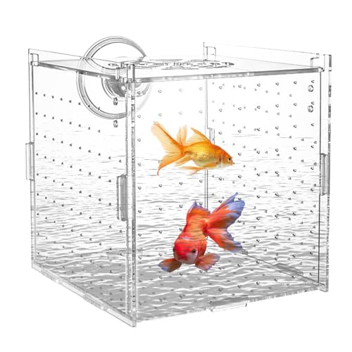 Aquarium Aufzuchtbox Für Fischbrut,Saugnapf Befestigung Aquarien Zuchtbehälter | Transparenter Brutkasten Mit Trennwand Zur Aufzucht Von Guppys Kaiserfisch Laich Und Jungtieren Aquarium Aufzuchtbox Für Fischbrut,Saugnapf Befestigung Aquarien Zuchtbehälter | Transparenter Brutkasten Mit Trennwand Zur Aufzucht Von Guppys Kaiserfisch Laich Und Jungtieren von Generisch