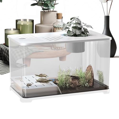 Aquarium Becken | Großes Aquarium-Set Schreibtisch Fischbecken,Modernes Becken mit Ruhezone für Schildkröten Zierdekor für Kampffisch Aquarienpflanzen Tischzubehör Aquarium Becken | Großes Aquarium-Set Schreibtisch Fischbecken,Modernes Becken mit Ruhezone für Schildkröten Zierdekor für Kampffisch Aquarienpflanzen Tischzubehör von Generisch