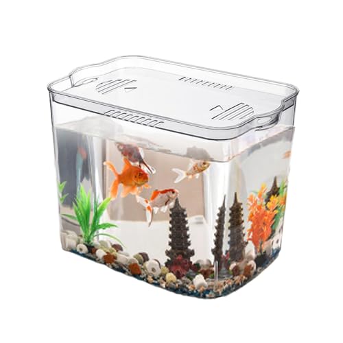 Aquarium-Desktop | Kleines Würfelaquarium | Tragbare Fischschale | Winziges Aquarium für temporäre Räume, geeignet für Schildkrötenbecken, kleine Wasserfische, Garnelen, Krabben von Generisch