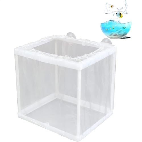 Aquarium Fisch Zuchtbox – Acryl Brutkasten mit Saugnäpfen | Jungfische Trennnetz | Aquarium Hatcher Mesh Box | Kleines Fry Hatchery Net für Babyfische Garnelen Betta von Generisch