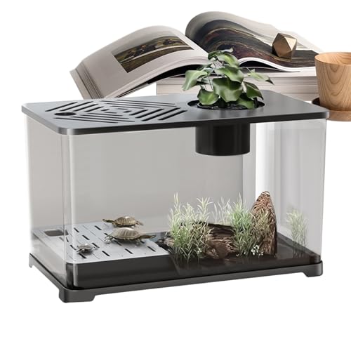 Aquarium Fischbecken,Großes Aquarium-Set Schreibtisch Fischbecken - Modernes Becken mit Ruhezone für Schildkröten Zierdekor für Kampffisch Aquarienpflanzen Tischzubehör Aquarium Fischbecken,Großes Aquarium-Set Schreibtisch Fischbecken - Modernes Becken mit Ruhezone für Schildkröten Zierdekor für Kampffisch Aquarienpflanzen Tischzubehör von Generisch